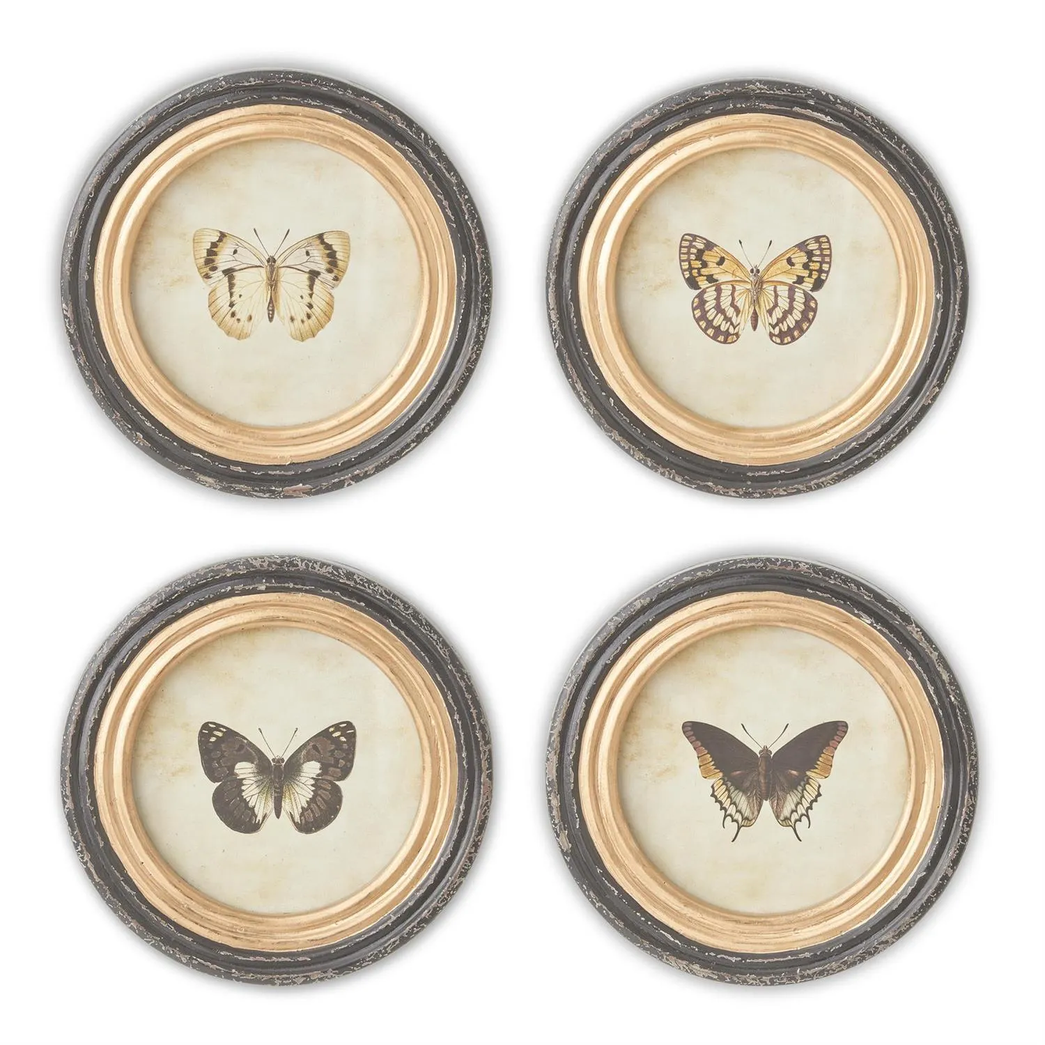 Black & Gold Framed Butterfly Prints - 4 Styles