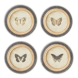 Black & Gold Framed Butterfly Prints - 4 Styles